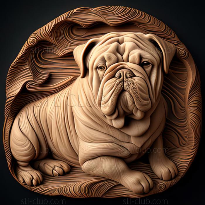 3D model st English Bulldog dog (STL)